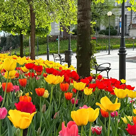 Szyndzielnia - 2 Sypialnie & Balkon & Parking Idealne Mejsce W Baskidach Dla Rodziny Bílsko-Bělá