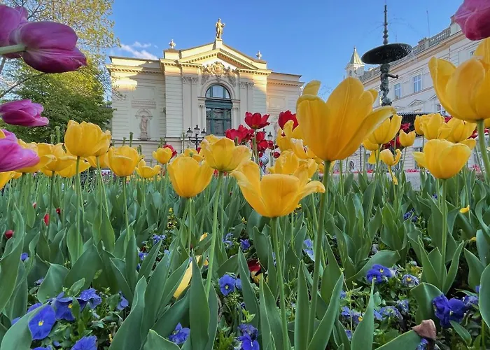 Szyndzielnia - 2 Sypialnie & Garaz Podziemny & Balkon Idealne Mejsce W Baskidach Dla Rodziny アパート ビエルスコ・ビアバ