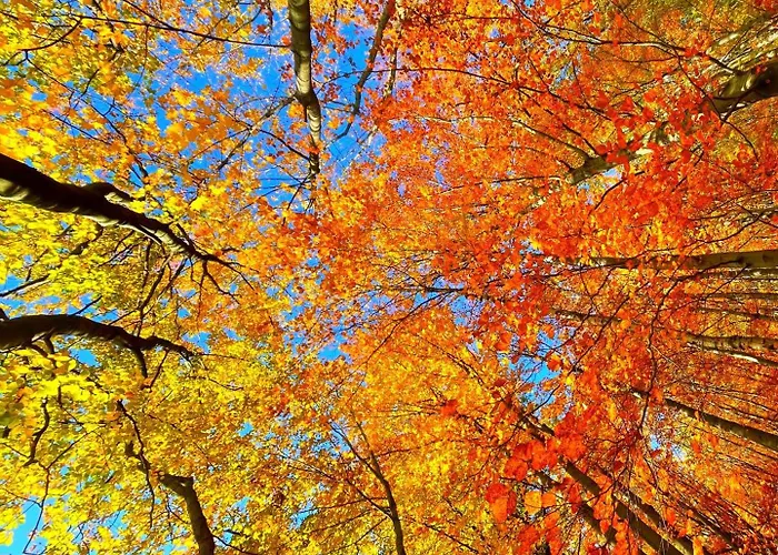 Szyndzielnia - 2 Sypialnie & Garaz Podziemny & Balkon Idealne Mejsce W Baskidach Dla Rodziny ビエルスコ・ビアバ