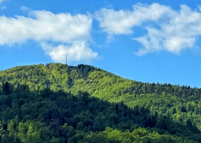 Szyndzielnia - 2 Sypialnie & Garaz Podziemny & Balkon Idealne Mejsce W Baskidach Dla Rodziny アパート *