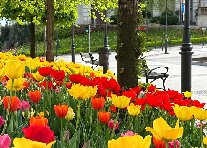 Szyndzielnia - 2 Sypialnie & Garaz Podziemny & Balkon Idealne Mejsce W Baskidach Dla Rodziny Bílsko-Bělá